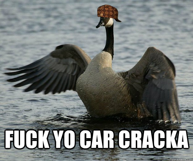  FUCK YO CAR CRACKA  Scumbag Canada Goose