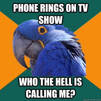 Phone rings on TV show who the hell is calling me?  Paranoid Parrot