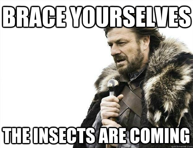 Brace yourselves The insects are coming  BRACEYOSELVES