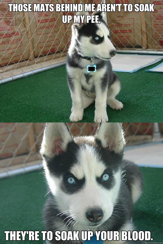 Those mats behind me aren't to soak up my pee, They're to soak up your blood.  Insanity puppy