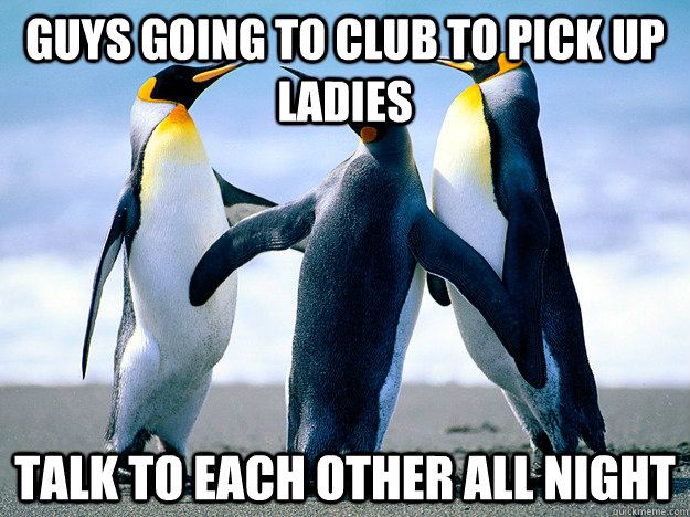 Guys going to club to pick up ladies Talk to each other all night  Awkward penguin group