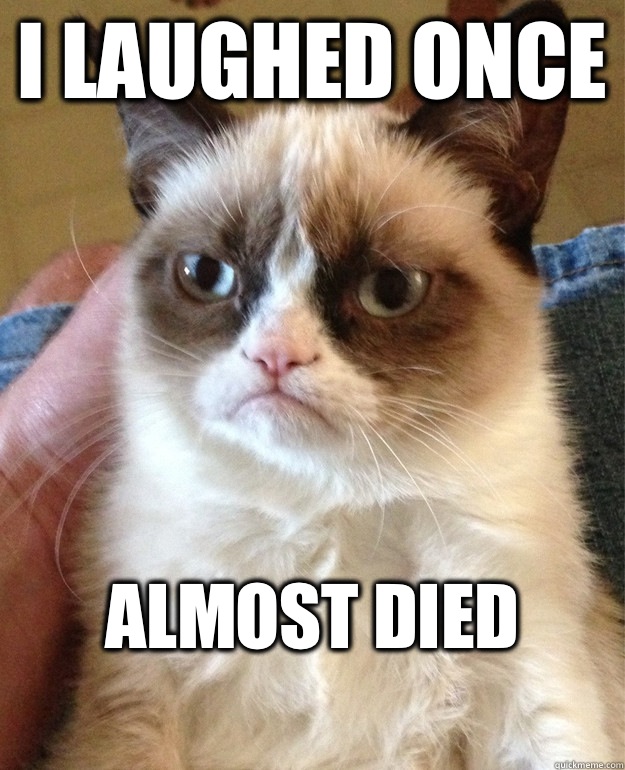 I laughed once Almost died
 - I laughed once Almost died
  Grumpy Cat