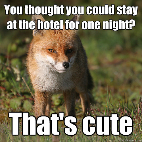 You thought you could stay at the hotel for one night? That's cute  Smug Fox