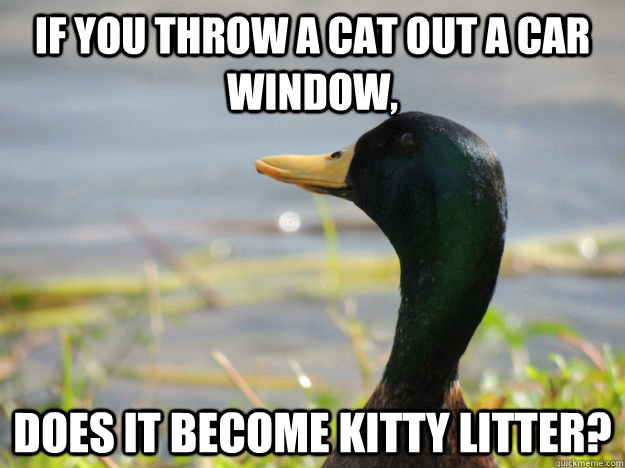 If you throw a cat out a car window, does it become kitty litter? - If you throw a cat out a car window, does it become kitty litter?  Deep Thought duck