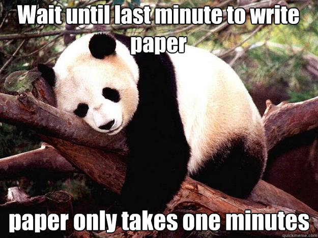 Wait until last minute to write paper paper only takes one minutes  Procrastination Panda