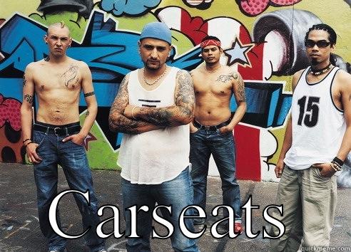  CARSEATS Misc