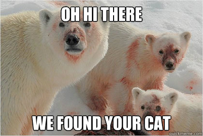 oh hi there we found your cat  Bad News Bears