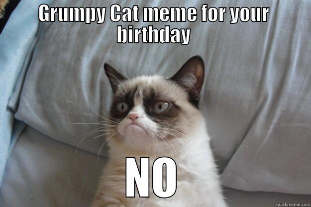 No Birthday Meme for You - GRUMPY CAT MEME FOR YOUR BIRTHDAY NO Grumpy Cat