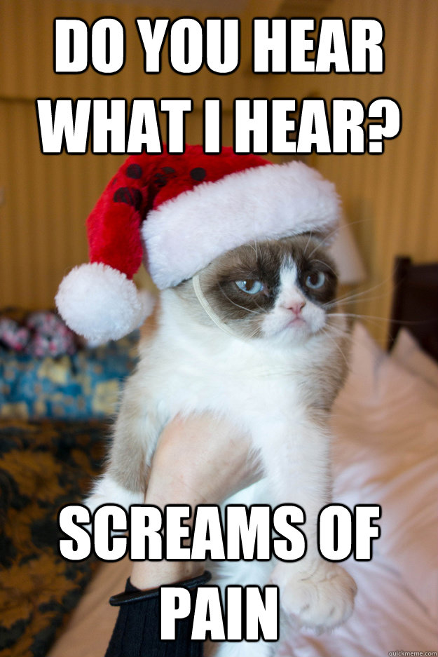 Do you hear what i hear? screams of pain  Grumpy xmas