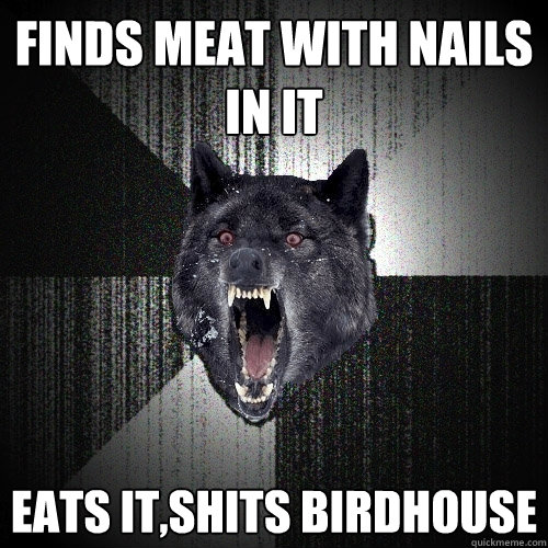 Finds meat with nails in it eats it,shits birdhouse  Insanity Wolf