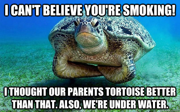 i CAN'T BELIEVE YOU'RE SMOKING! i THOUGHT OUR PARENTS TORTOISE BETTER THAN THAT. Also, we're under water.  Disappointed Sea Turtle