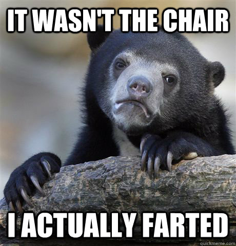 It wasn't the chair i actually farted - It wasn't the chair i actually farted  Confession Bear