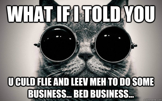 what if I told you u culd flie and leev meh to do some business... bed business...  Morpheus Cat Facts