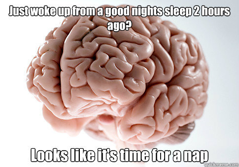 Just woke up from a good nights sleep 2 hours ago? Looks like it's time for a nap  Scumbag Brain