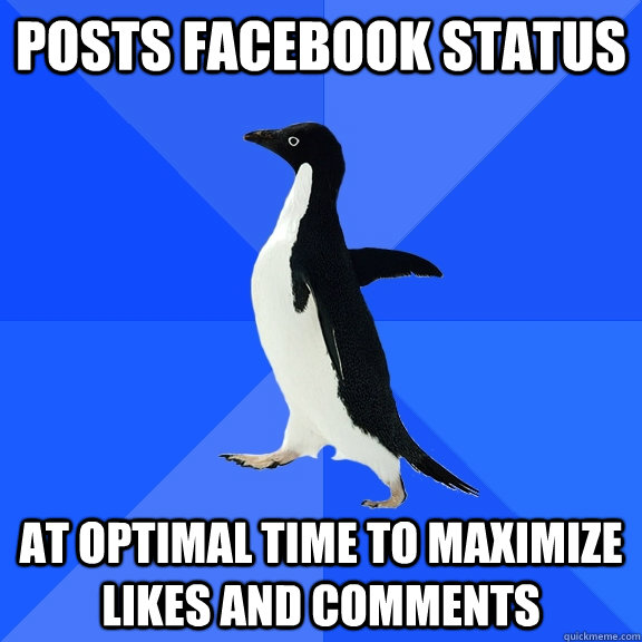 posts facebook status at optimal time to maximize likes and comments  Socially Awkward Penguin