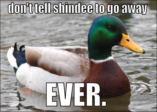 DON'T TELL SHINDEE TO GO AWAY EVER. Actual Advice Mallard