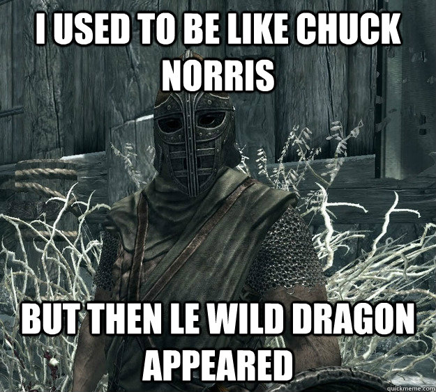 I used to be like Chuck Norris but then le wild dragon appeared  