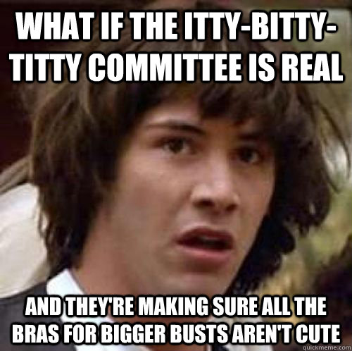 What if the itty-bitty-titty committee is real and they're making sure all the bras for bigger busts aren't cute - What if the itty-bitty-titty committee is real and they're making sure all the bras for bigger busts aren't cute  Misc