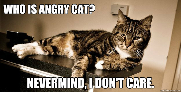 who is angry cat? nevermind, i don't care.  careless cat