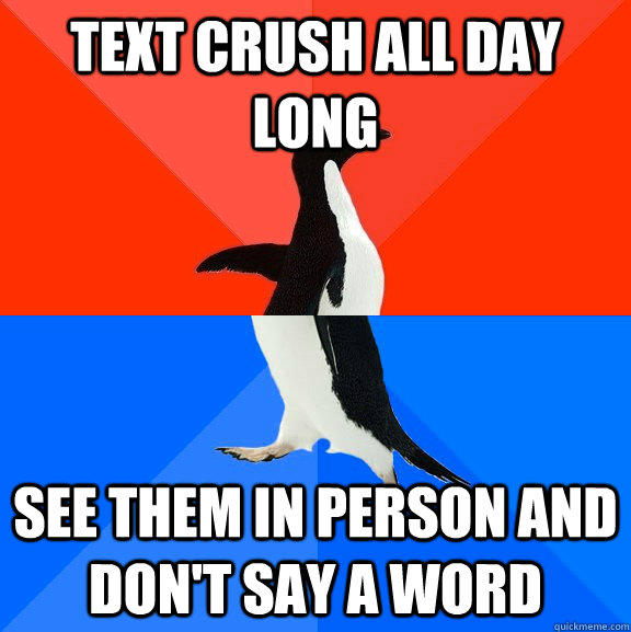 text crush all day long see them in person and don't say a word - text crush all day long see them in person and don't say a word  Socially Awesome Awkward Penguin