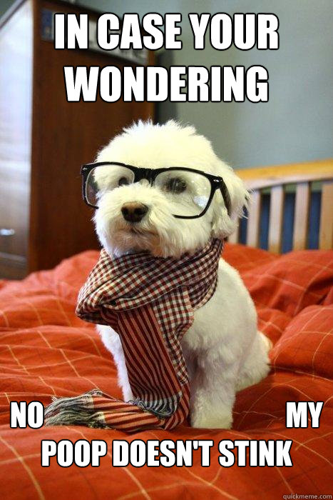 IN CASE YOUR WONDERING NO                                            MY POOP DOESN'T STINK  Hipster Dog