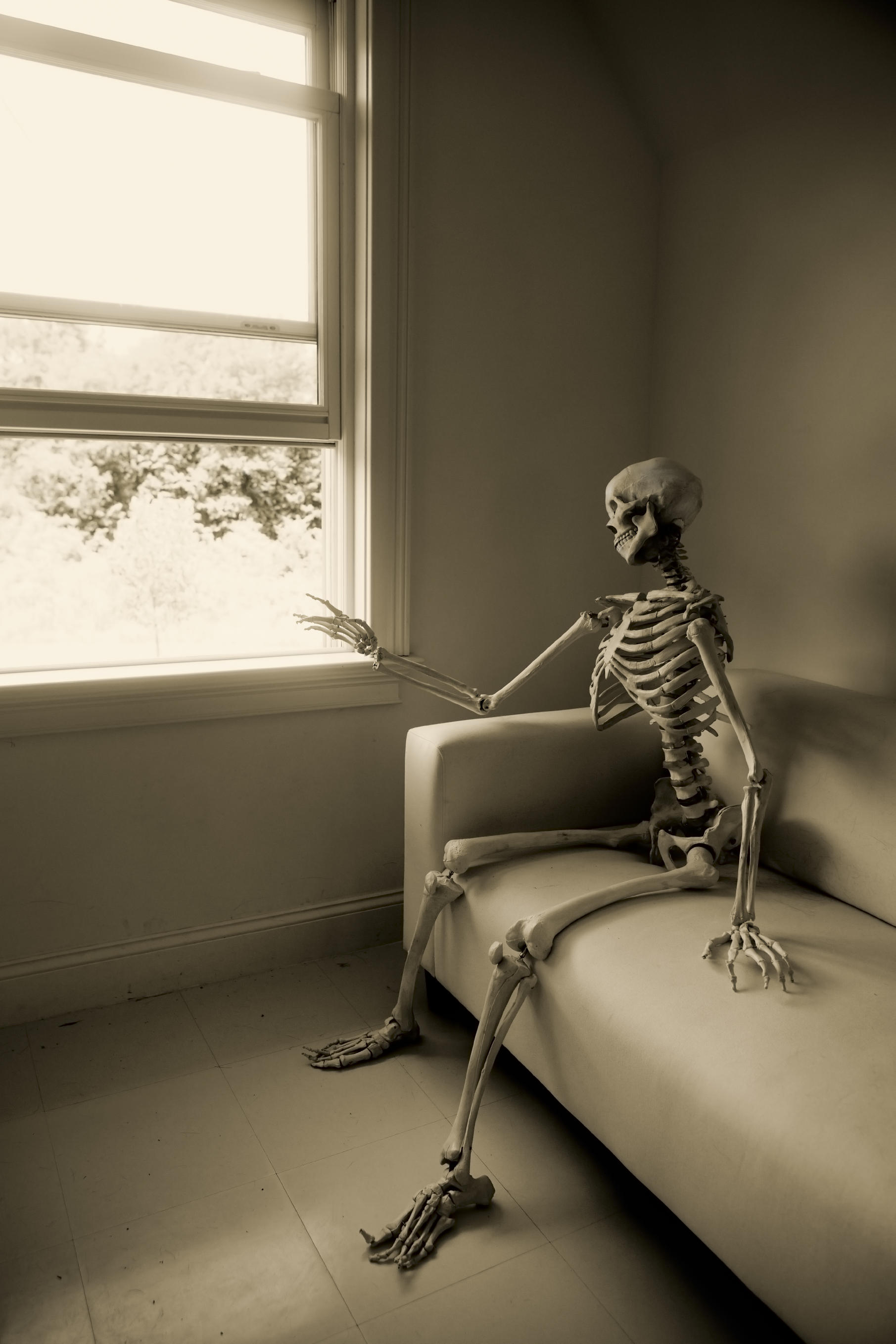 Waiting Skeleton -   Misc