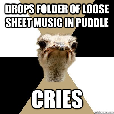 Drops folder of loose sheet music in puddle Cries  Music Major Ostrich