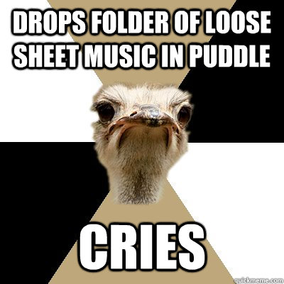 Drops folder of loose sheet music in puddle Cries - Drops folder of loose sheet music in puddle Cries  Music Major Ostrich