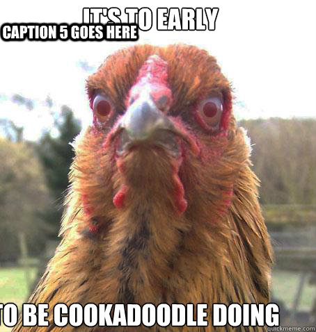 it's to early   to be cookadoodle doing ... :P


  Caption 4 goes here Caption 5 goes here  RageChicken