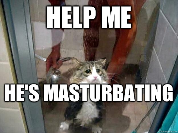 Help me  He's masturbating   Shower kitty