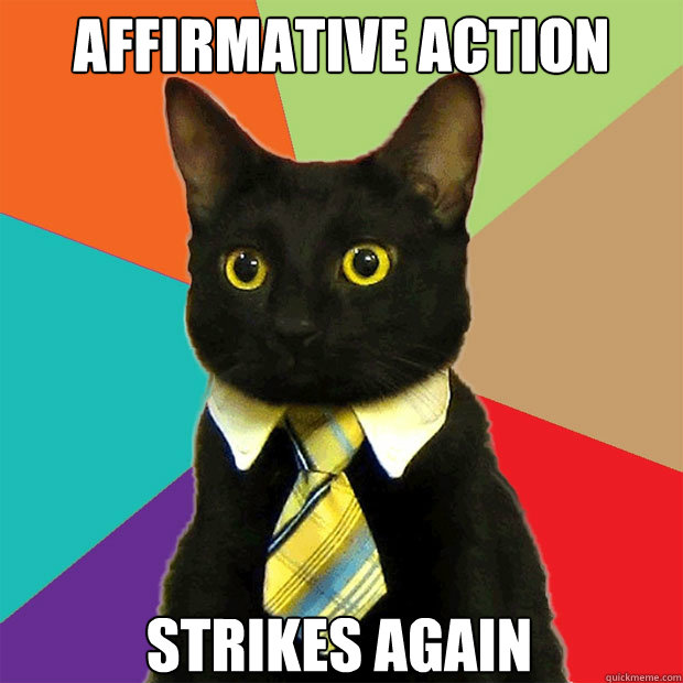 Affirmative action Strikes Again  Business Cat