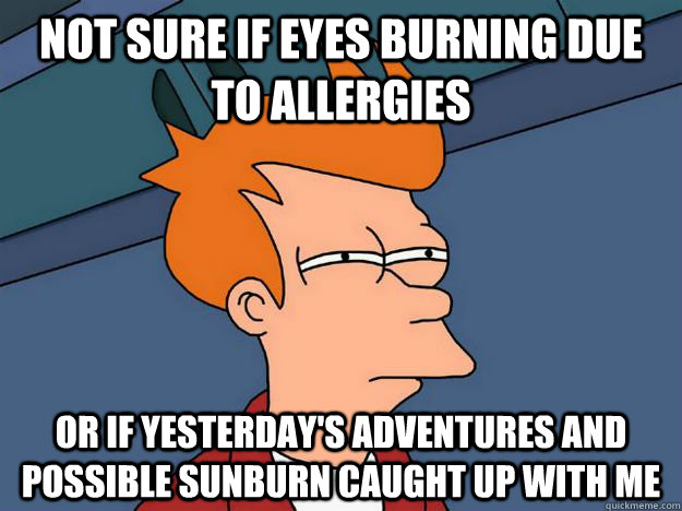 Not sure if eyes burning due to allergies Or if yesterday's adventures and possible sunburn caught up with me  Skeptical fry
