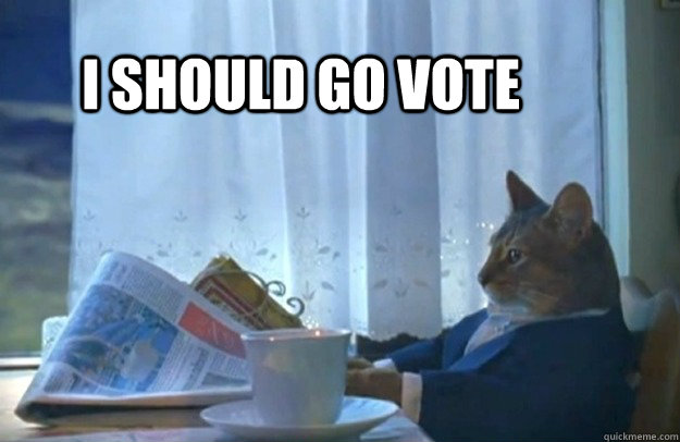 I should go vote  Sophisticated Cat