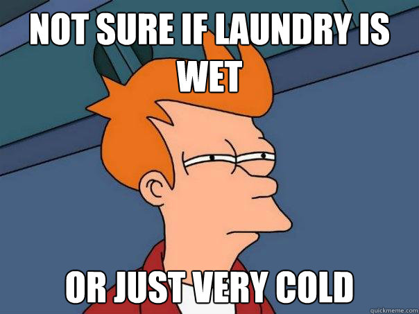 Not sure if laundry is wet or just very cold  Futurama Fry