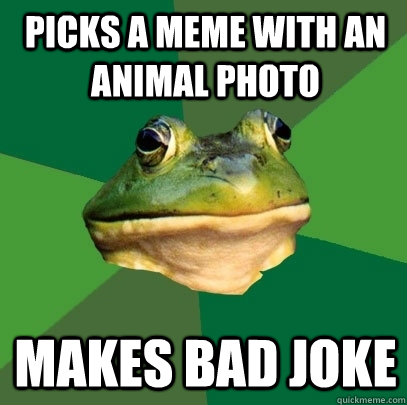 Picks a meme with an animal photo Makes bad joke  Foul Bachelor Frog