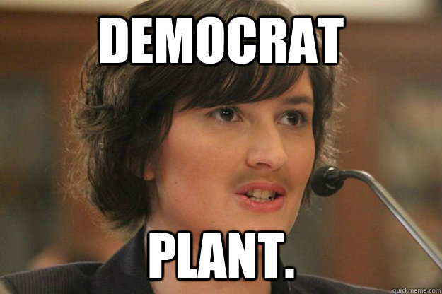 DEMOCRAT PLANT.  Slut Sandra Fluke