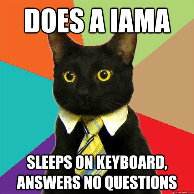 Does a IAMA Sleeps on keyboard, answers no questions  Business Cat