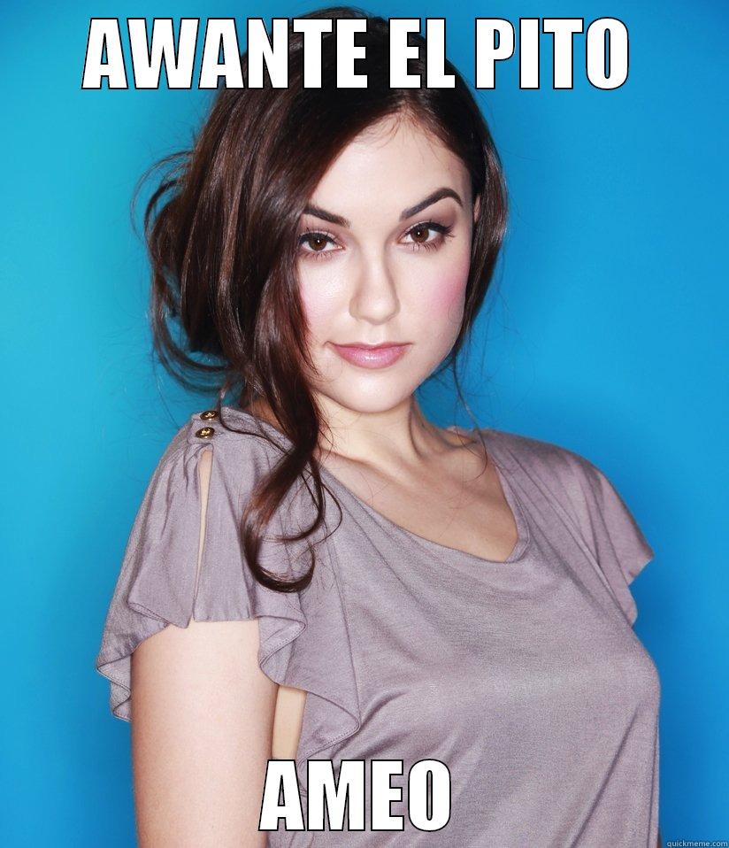 AWANTE EL PITO AMEO Misc