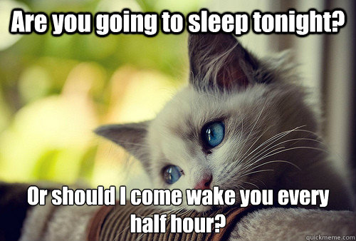 Are you going to sleep tonight? Or should I come wake you every half hour?  First World Cat Problems