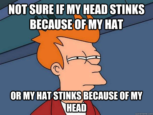 Not sure if my head stinks because of my hat Or my hat stinks because of my head  Futurama Fry