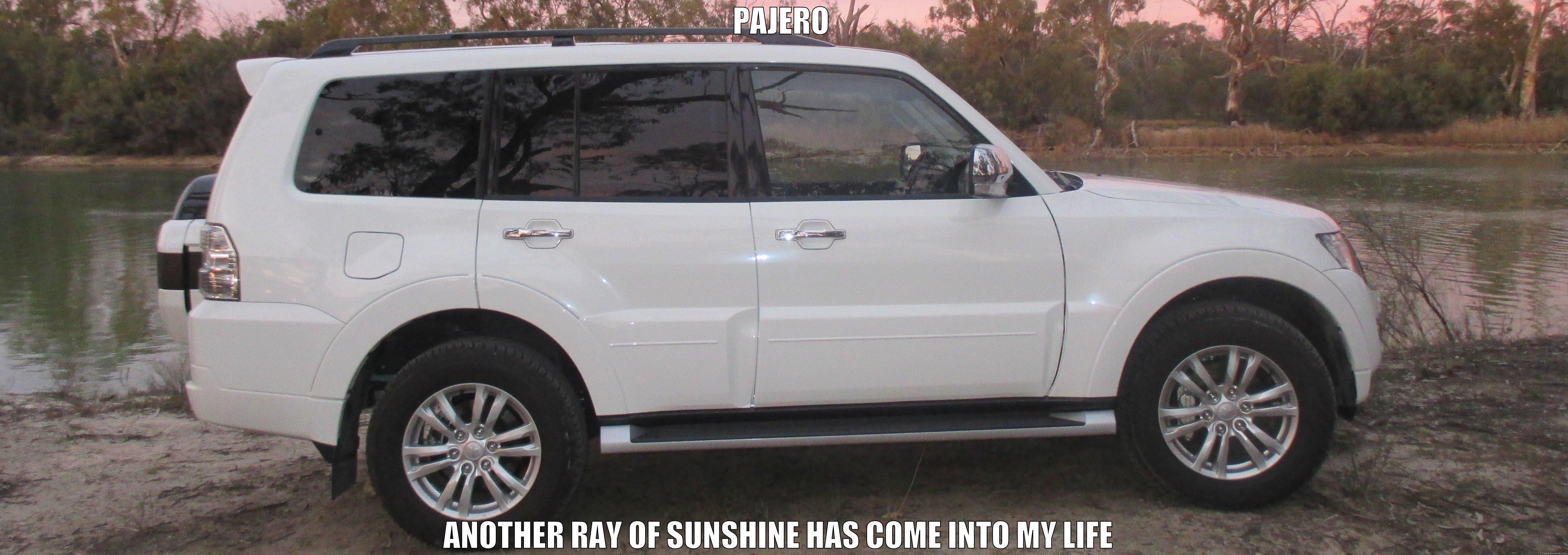 PAJERO ANOTHER RAY OF SUNSHINE HAS COME INTO MY LIFE  Misc