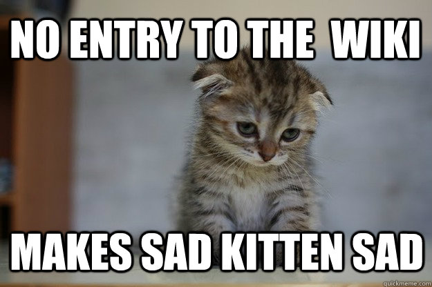 no entry to the  wiki makes sad kitten sad - no entry to the  wiki makes sad kitten sad  Sad Kitten