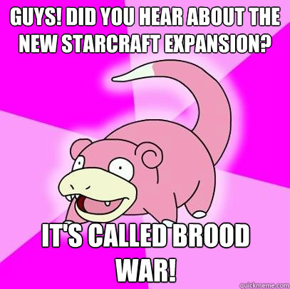 Guys! Did you hear about the new StarCraft expansion? It's called Brood War!  Slowpoke