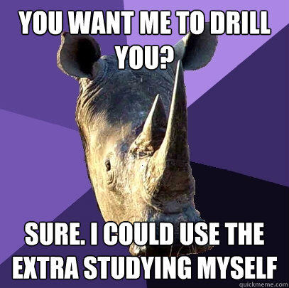 You want me to drill you? Sure. I could use the extra studying myself - You want me to drill you? Sure. I could use the extra studying myself  Sexually Oblivious Rhino