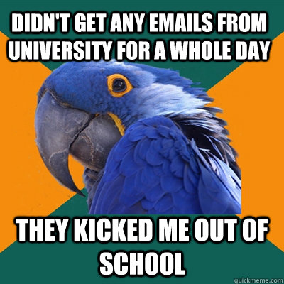 Didn't get any emails from university for a whole day They kicked me out of school - Didn't get any emails from university for a whole day They kicked me out of school  Paranoid Parrot