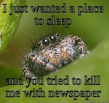 I JUST WANTED A PLACE TO SLEEP AND YOU TRIED TO KILL ME WITH NEWSPAPER Misunderstood Spider