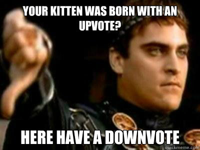 Your Kitten was born with an upvote? Here Have a Downvote  Downvoting Roman