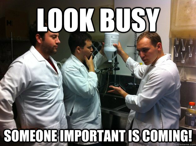 look busy Someone important is coming! - look busy Someone important is coming!  science