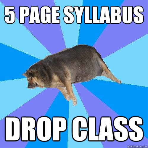 5 page syllabus  drop class  Lazy college student