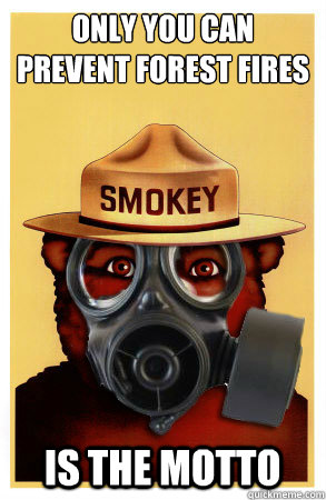 Only You Can Prevent Forest Fires Is The Motto - Only You Can Prevent Forest Fires Is The Motto  Drake Smokey